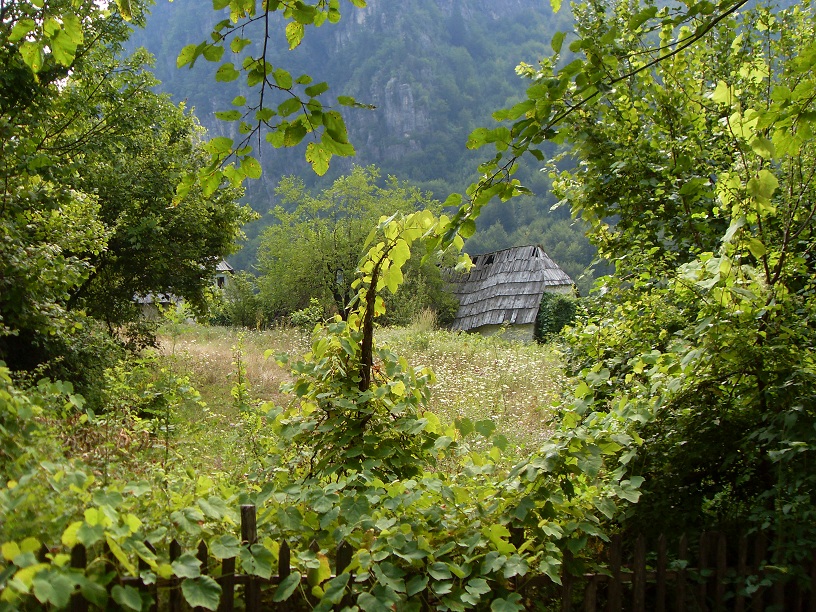 SDC11231