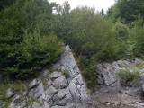 SDC11153.JPG