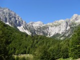 SDC11177.JPG