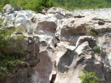 SDC11241.JPG