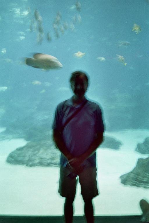 1.29 John at the Aquarium