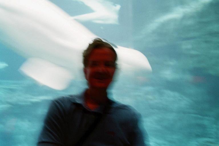 1.30 John at the Aquarium