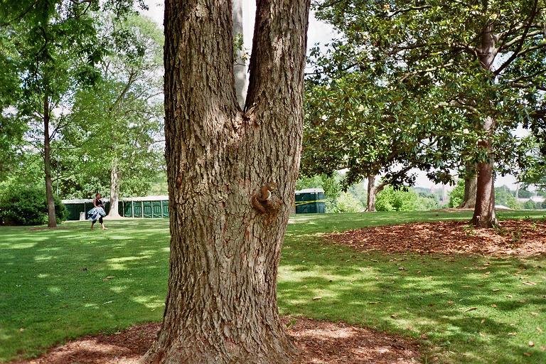 3.16 Piedmont Park Find the Squirrel II