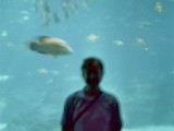 1.29 John at the Aquarium.jpg