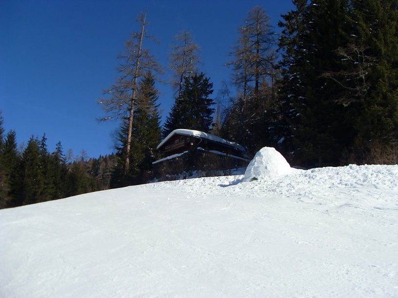 SDC11592