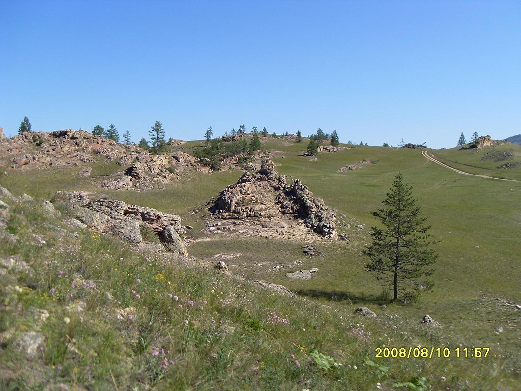 SDC10132