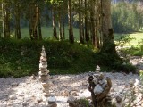SDC11888.JPG