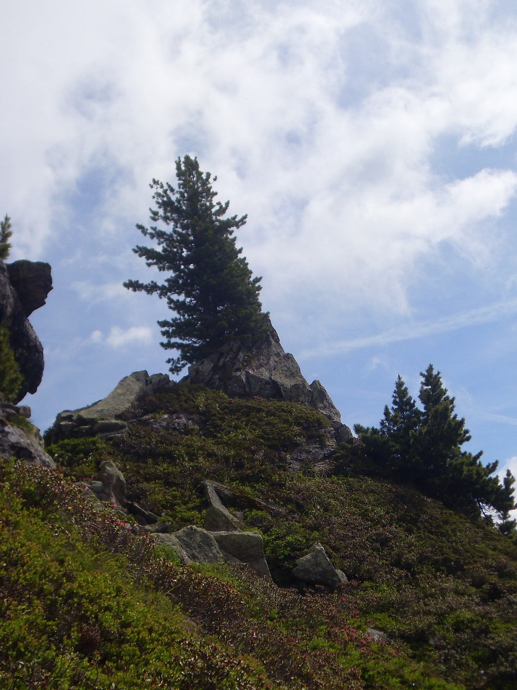 3f_GamshuetteZumFriesenberghaus
