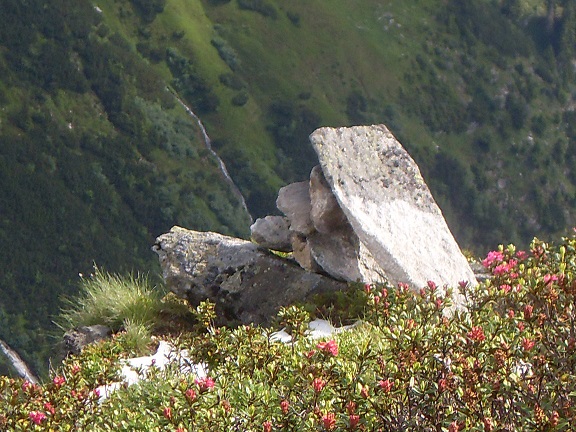 3g_GamshuetteZumFriesenberghaus