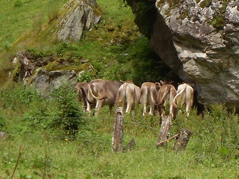 8c_AbstiegKasselerHuette