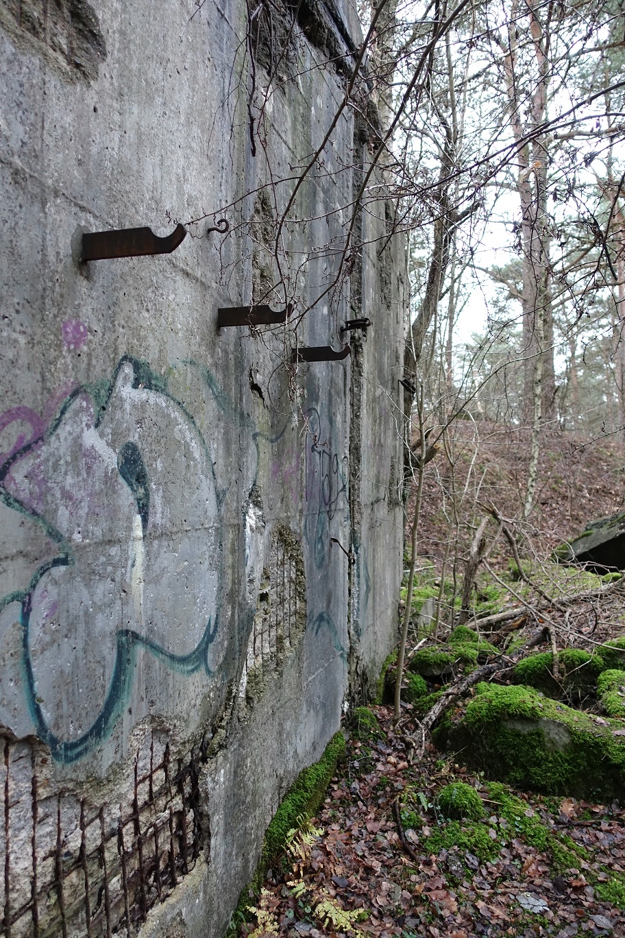 DSC04534
