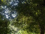 DSC02298.JPG