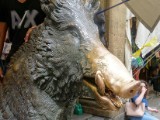 DSC02326.JPG