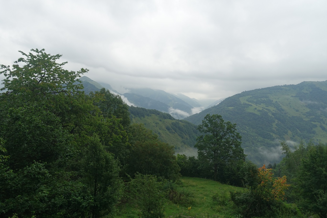 DSC02588