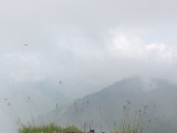 DSC02525.JPG