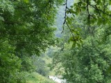 DSC02593.JPG