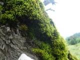 DSC02594.JPG