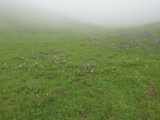 DSC02608.JPG