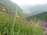 DSC02615.JPG