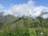 DSC02693.JPG