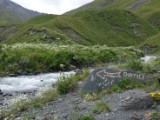 DSC02751.JPG