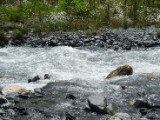DSC02753.JPG