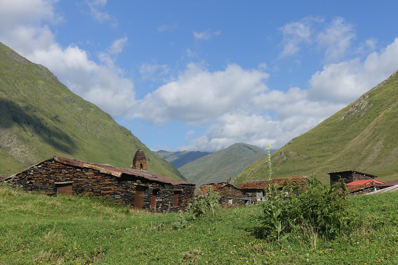 DSC02826