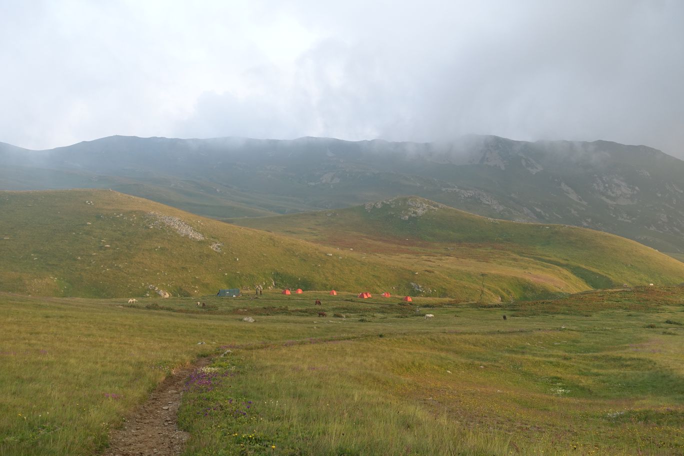 02_Lagodechi_11