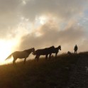 02_Lagodechi_13
