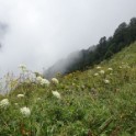 02_Lagodechi_26