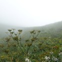 02_Lagodechi_27
