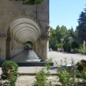 08_Gori_05