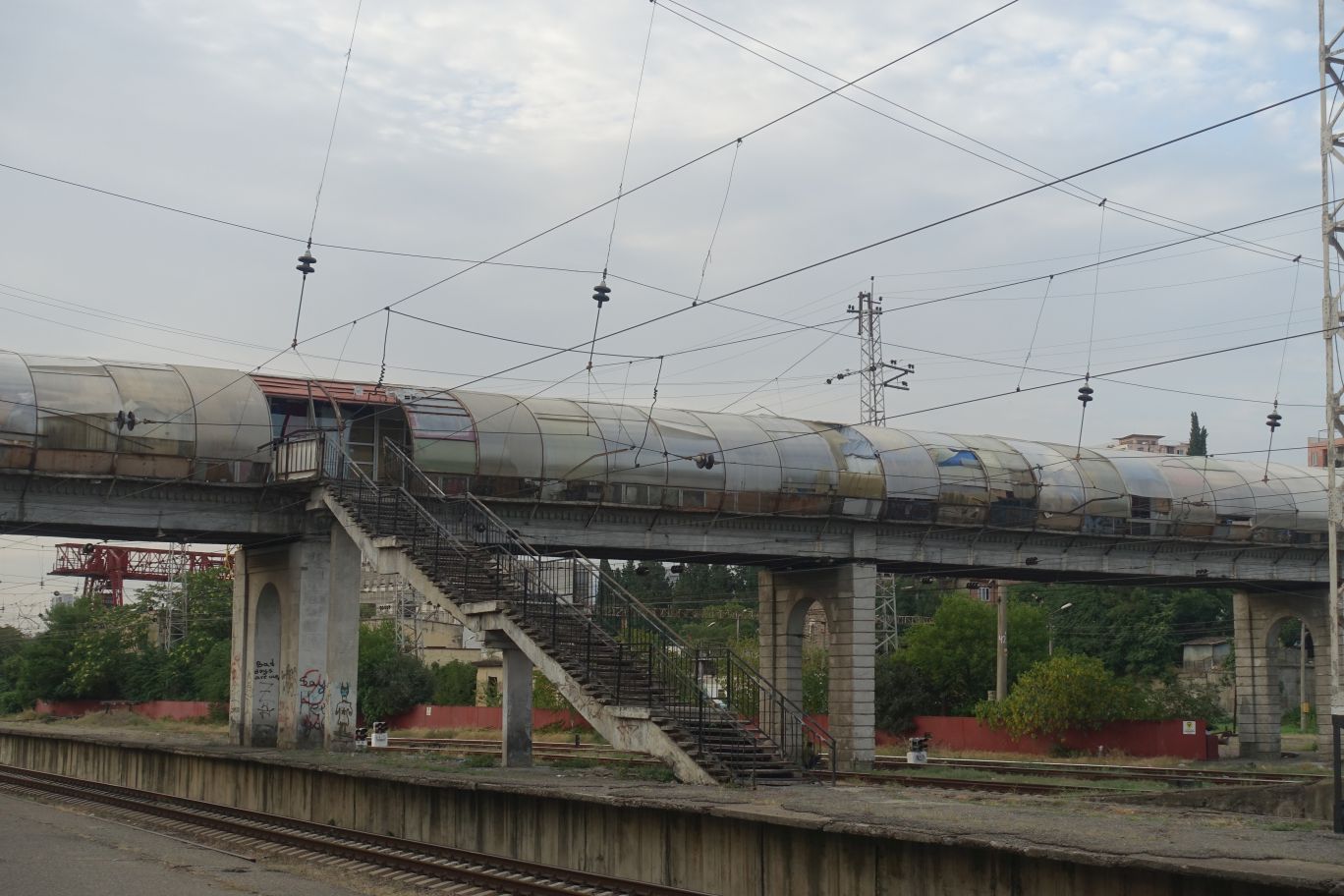 DSC10000 (139)
