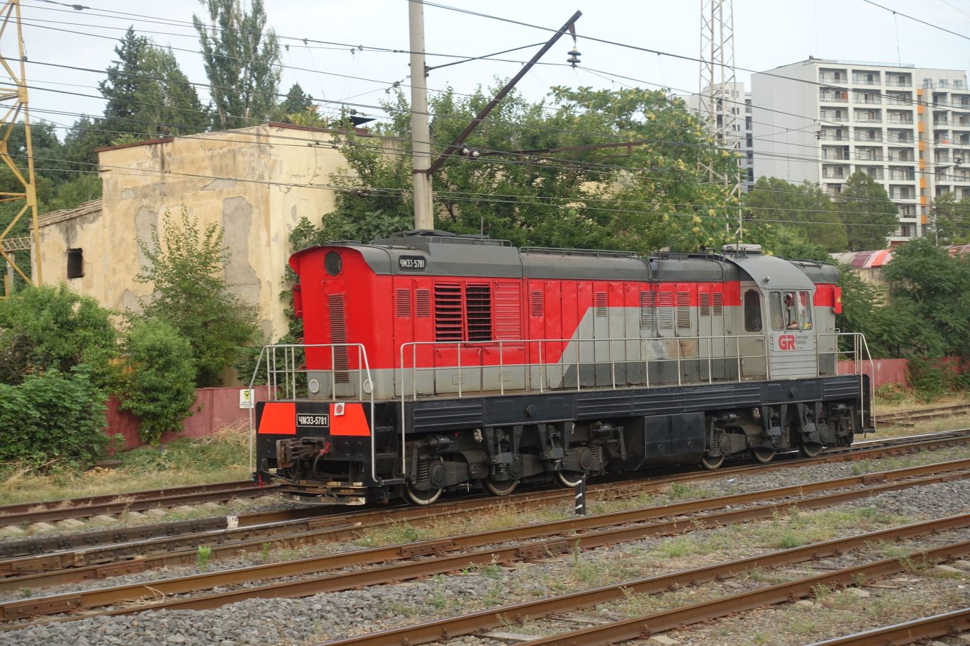 DSC10000 (142)