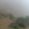 DSC09828