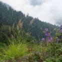 DSC09836