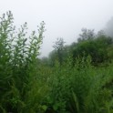 DSC09847