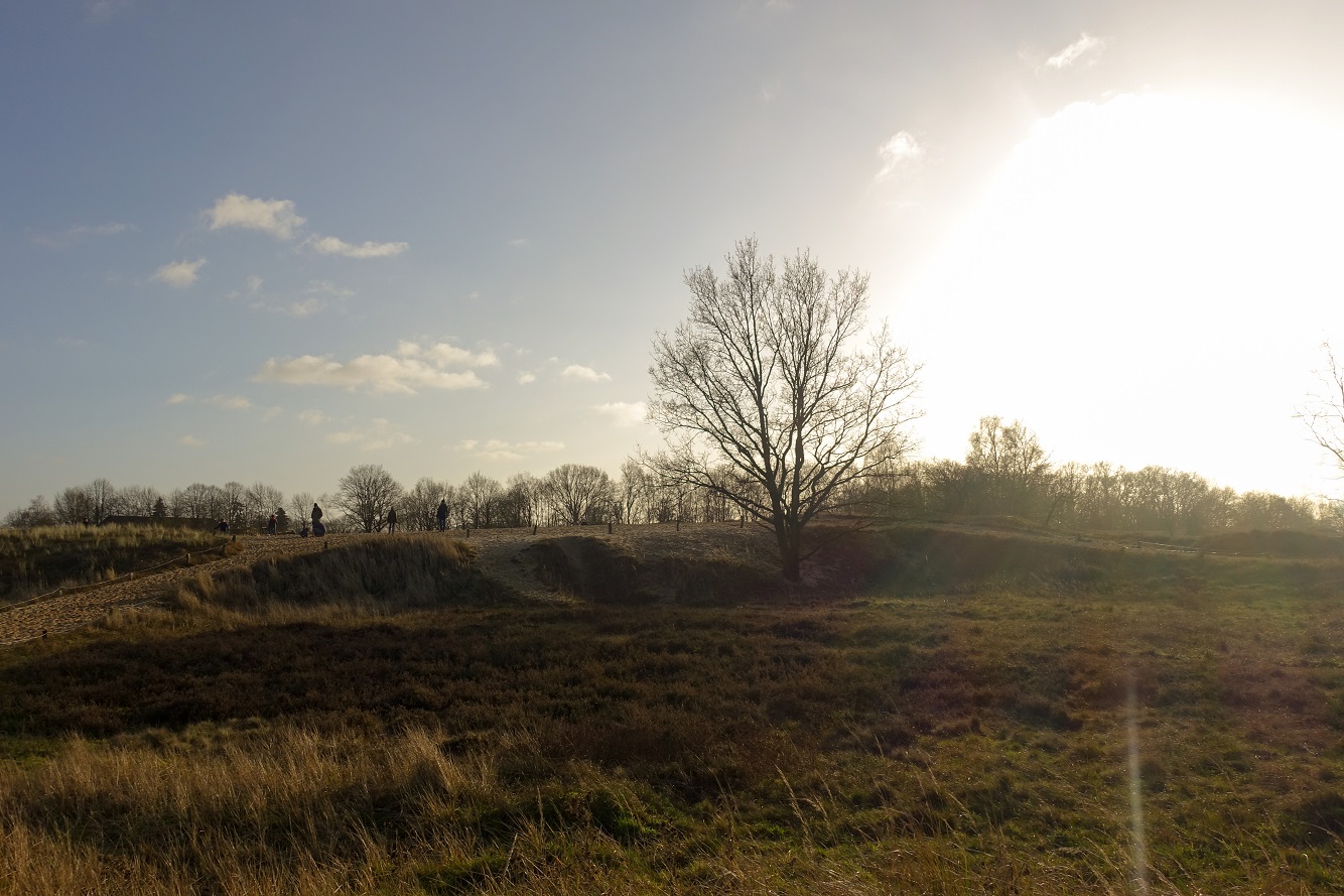 202001_Hamburg_BobergerDuene