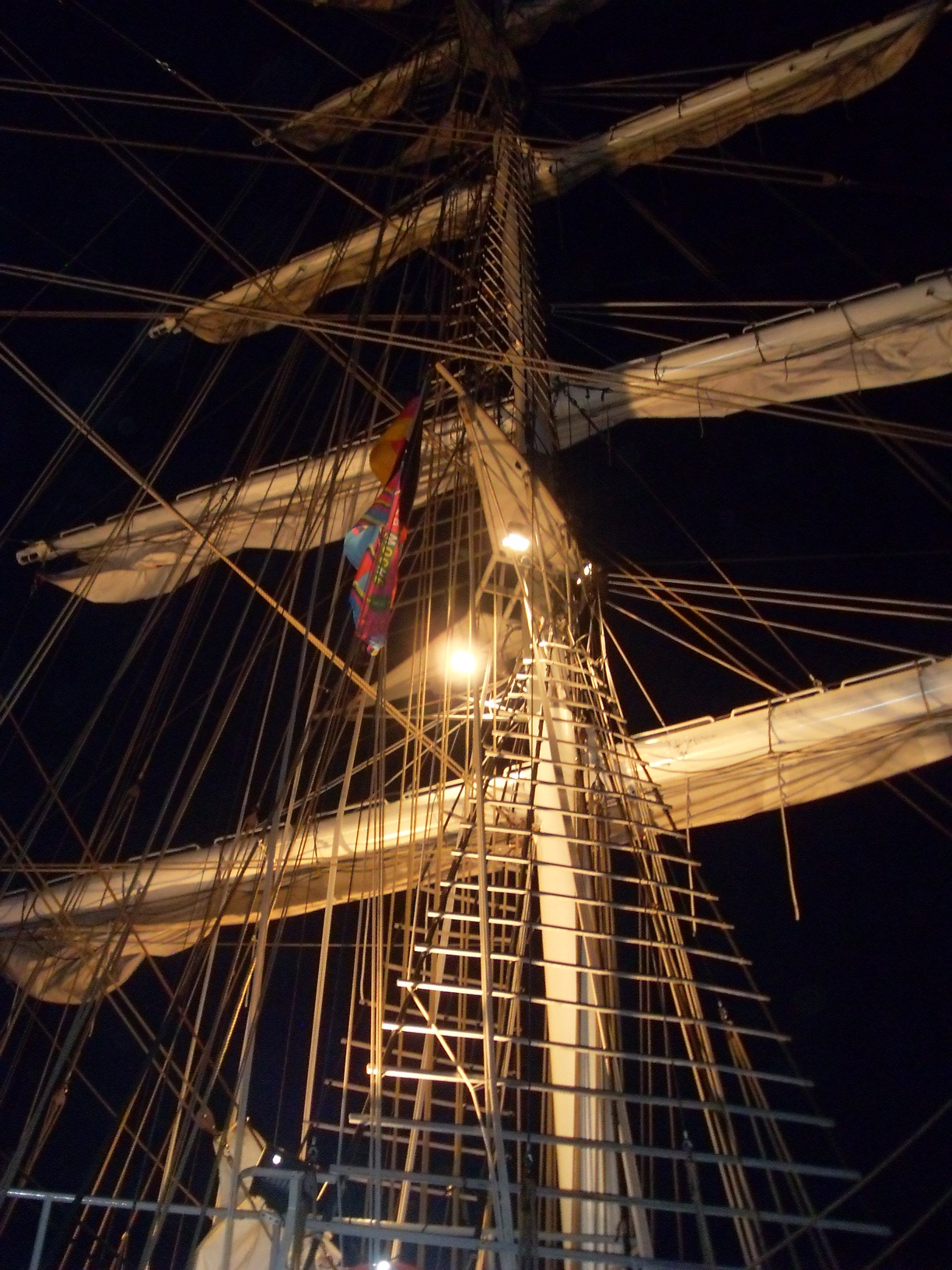 SDC12746