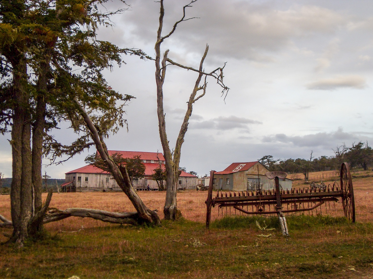 20160217_19_Estancia