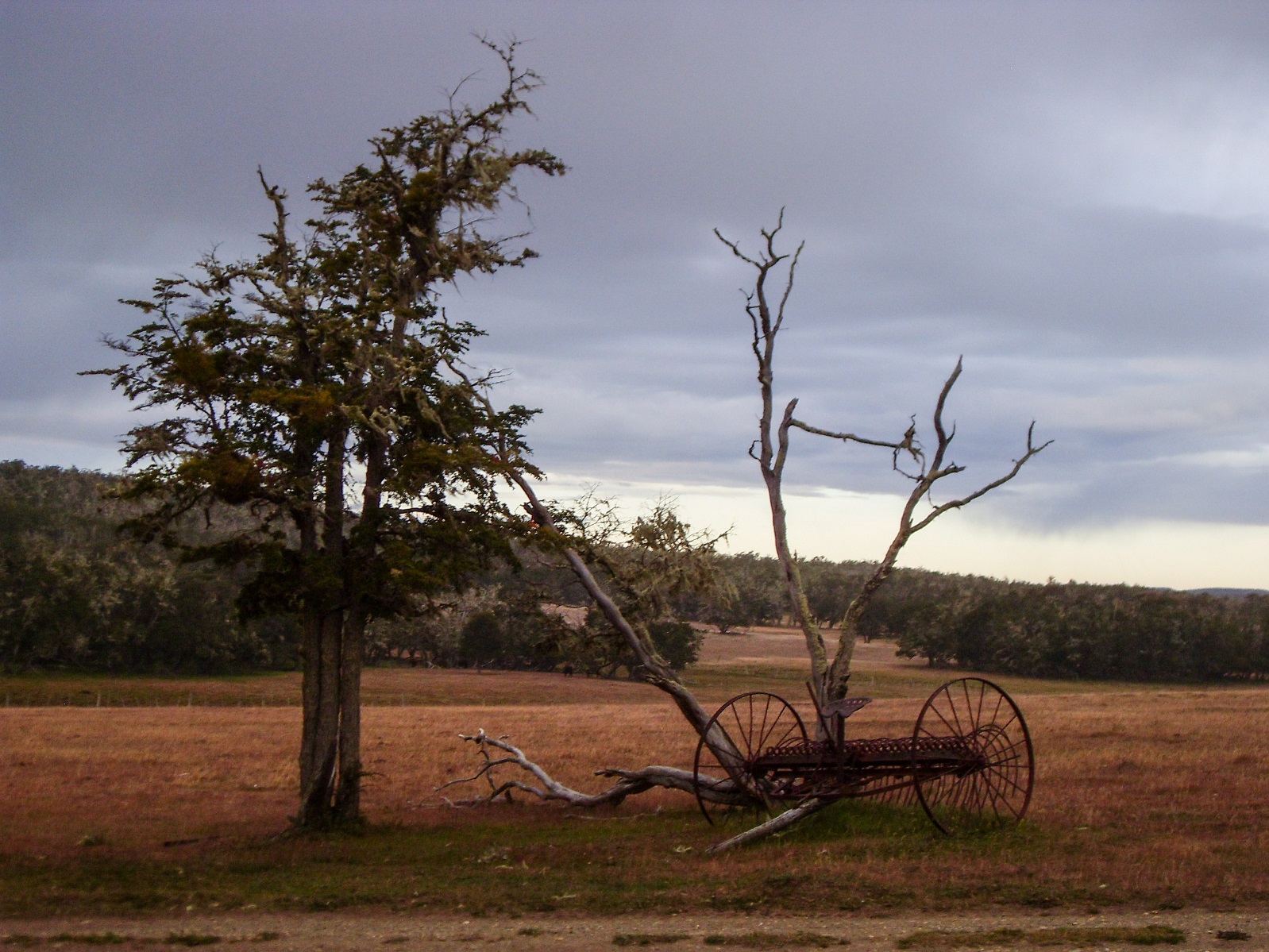20160217_21_Estancia