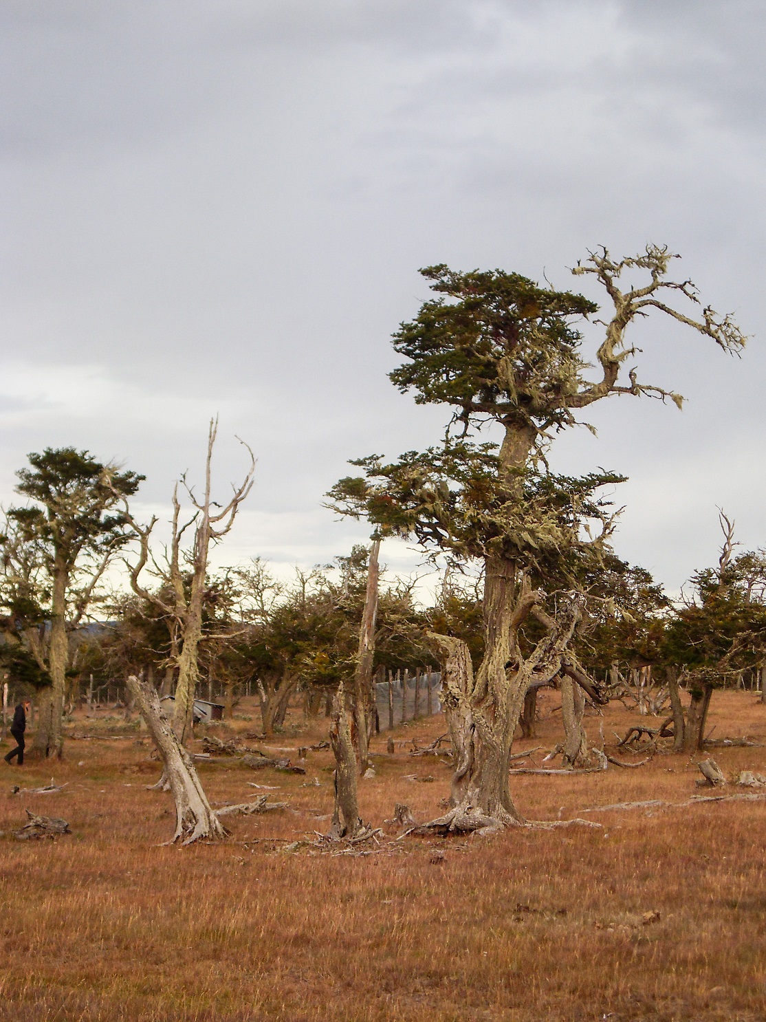 20160217_9_Estancia