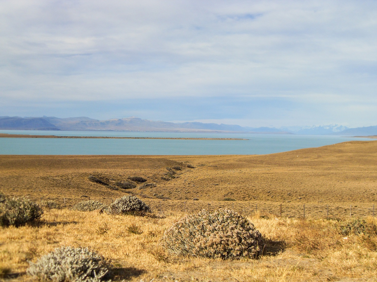 20160207_2_PatagonischeSteppe