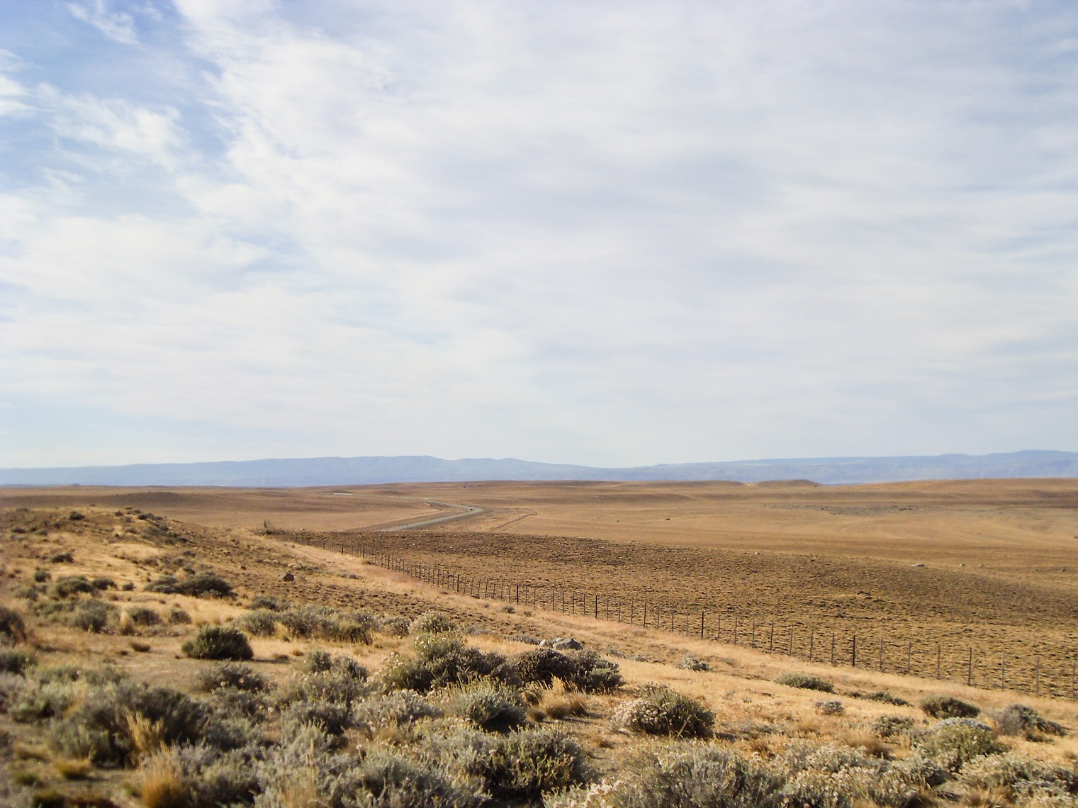 20160207_3_PatagonischeSteppe
