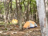 20160208_5_ImCamp.jpg