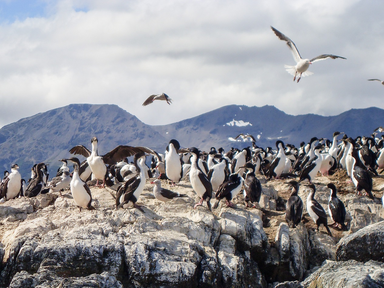 20160218_10_BeagleKanal