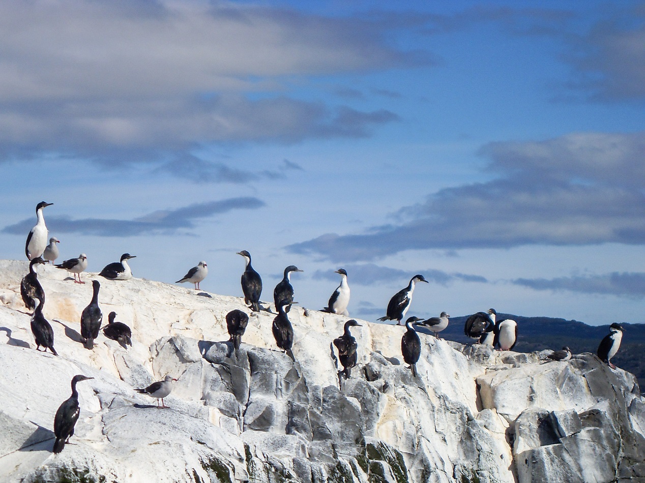 20160218_11_BeagleKanal