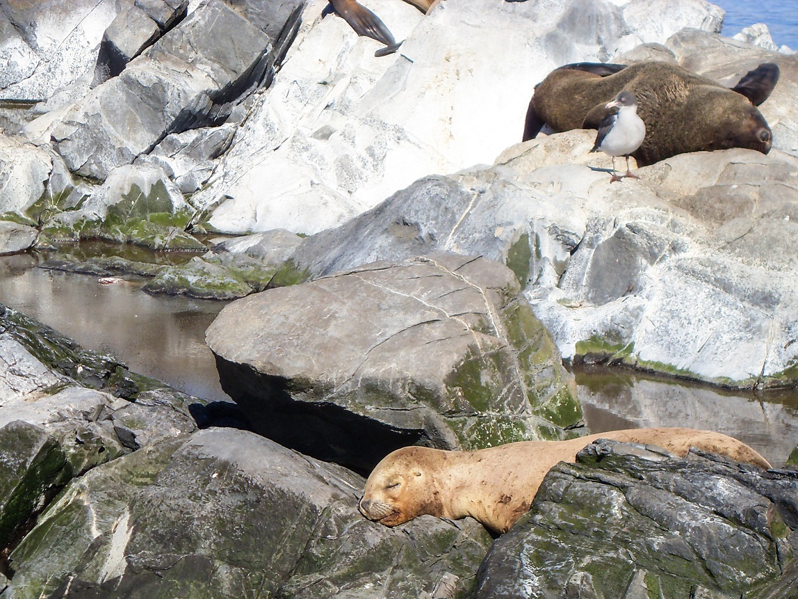 20160218_16_BeagleKanal