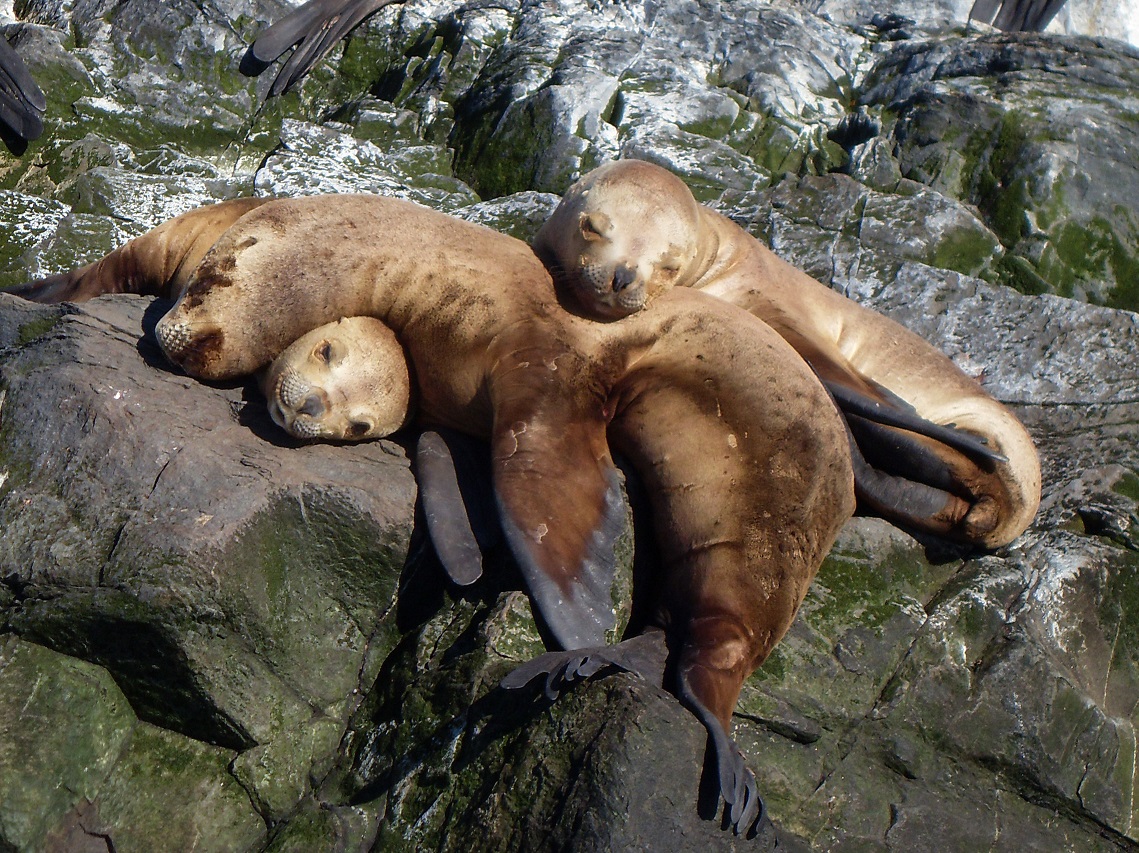 20160218_19_BeagleKanal