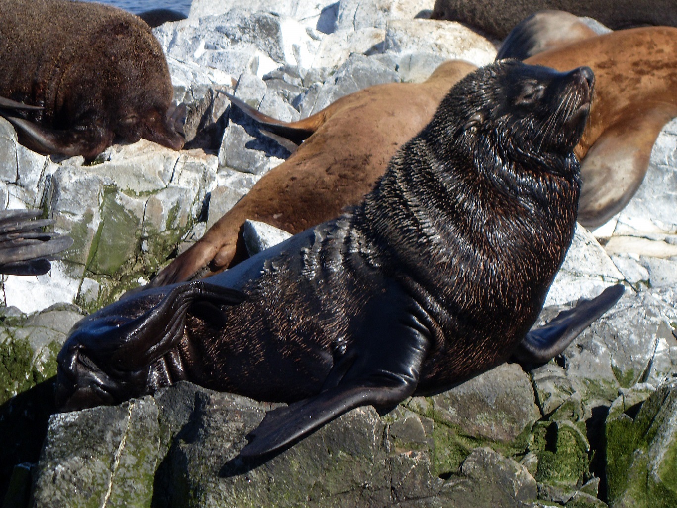 20160218_23_BeagleKanal